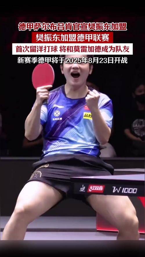 开云体育官网-瑞典队鏖战德国队，樊振东惊艳四座