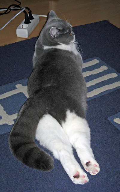 红白狂潮吞噬北欧铁阵,墨西哥三分钟奇迹一波带走乌克兰