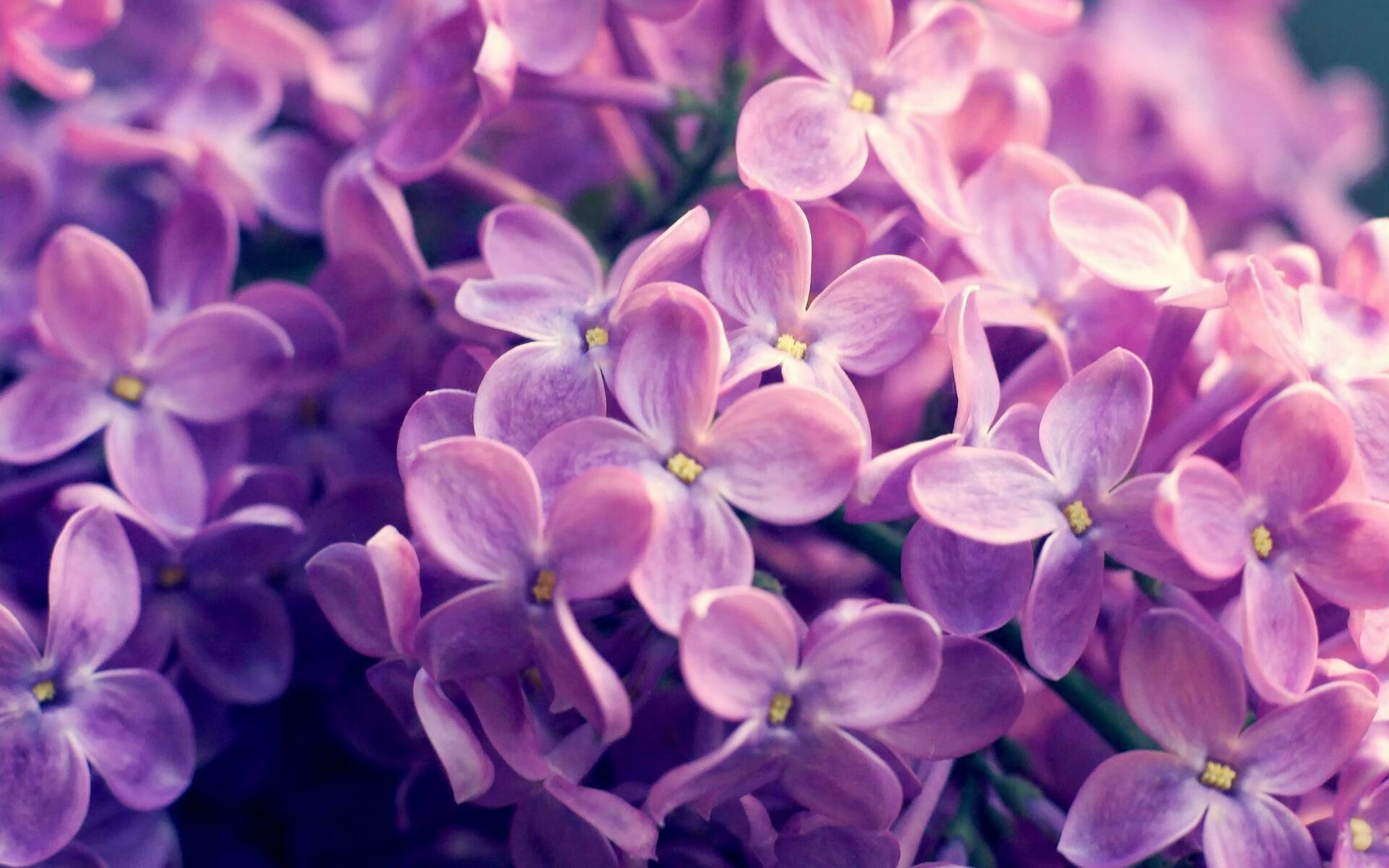 熔岩自冰川下喷涌，托尼用四球完成自我救赎，毕尔巴鄂七球狂扫牙买加