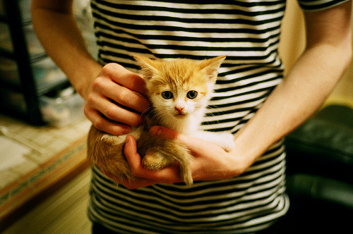 门迪爆发，新铁幕降临？深度解析西班牙如何用防守体系锁死马德里竞技