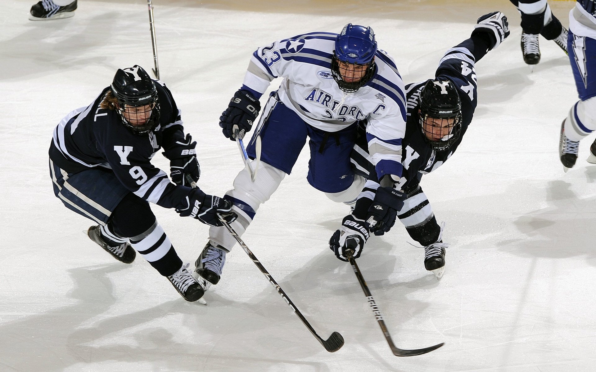 切特末节统治攻防，黄蜂蛰伤掘金取三连胜