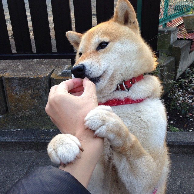 维度融合，广厦队篮球场打穿勇士，伦纳德足球世界杯接管比赛—体育界未解之谜