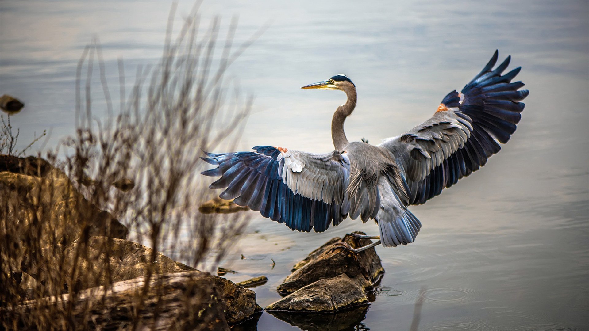 平行时空,当马刺的旋转命中银箭的弯心