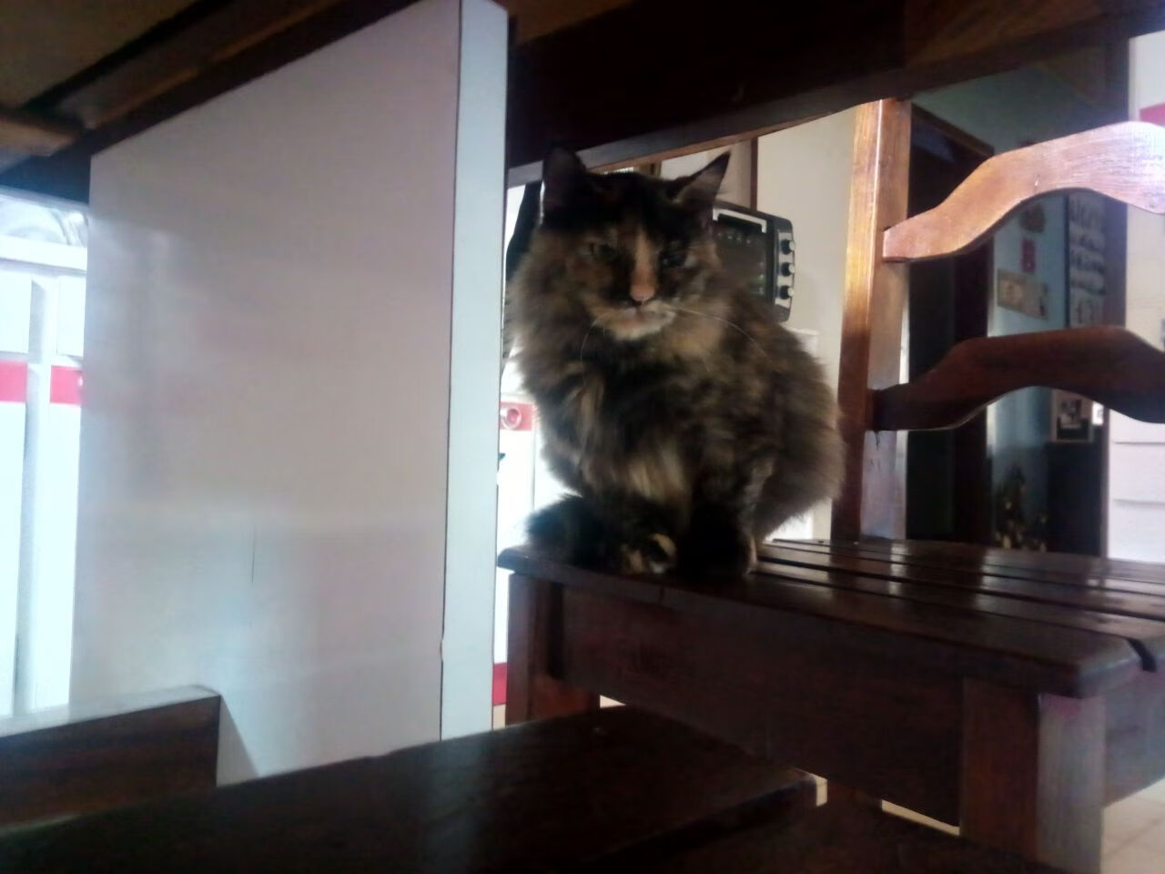 F1年度争冠之夜,佩德里关键回合不手软,逆转夺冠传奇