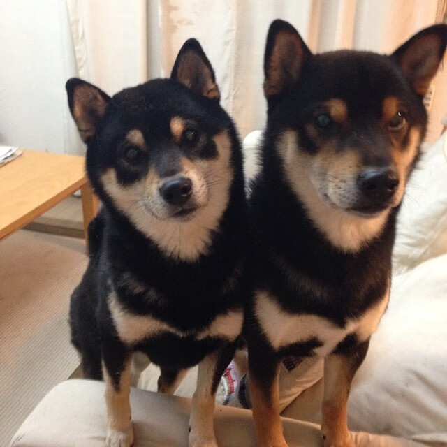 北欧孤岛的叹息之墙,当卡塞米罗的烈焰,冻结于挪威的极寒防守