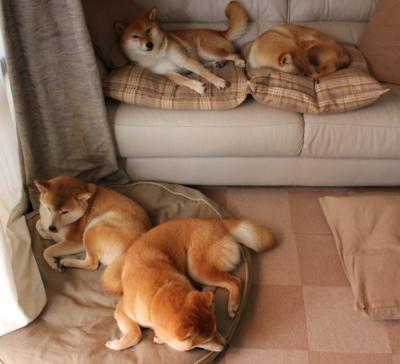 未来竞技场，广厦队横扫掘金，爱德华兹成为关键先生