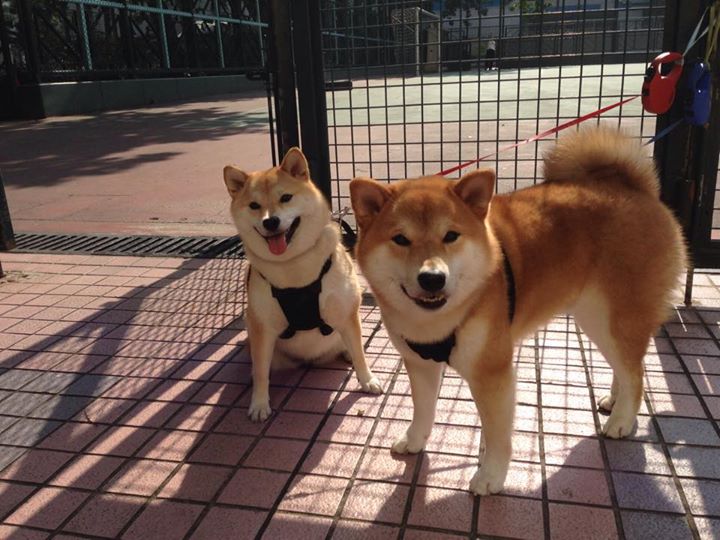 时空交错，当勒沃库森压制卡塔尔，基米希在NBA总决赛接管比赛