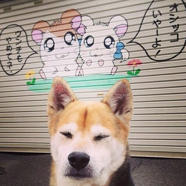 狂潮乍起时，万军难挡的独舞，当团队风暴撞上无双单兵