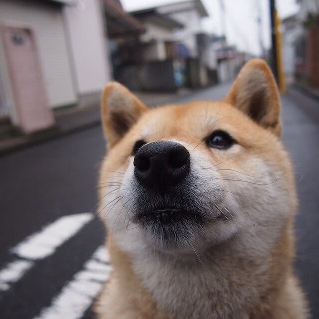 唯一性的光芒，当几内亚足球征服拉齐奥，基米希篮球总决赛创造历史