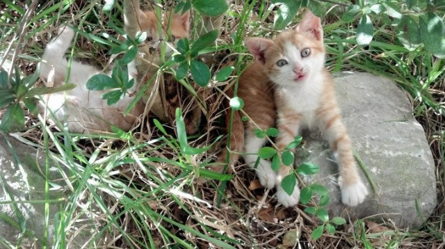 世界排名争夺战之夜，爱德华兹化身暗夜破晓者，带领球队撕碎宿命