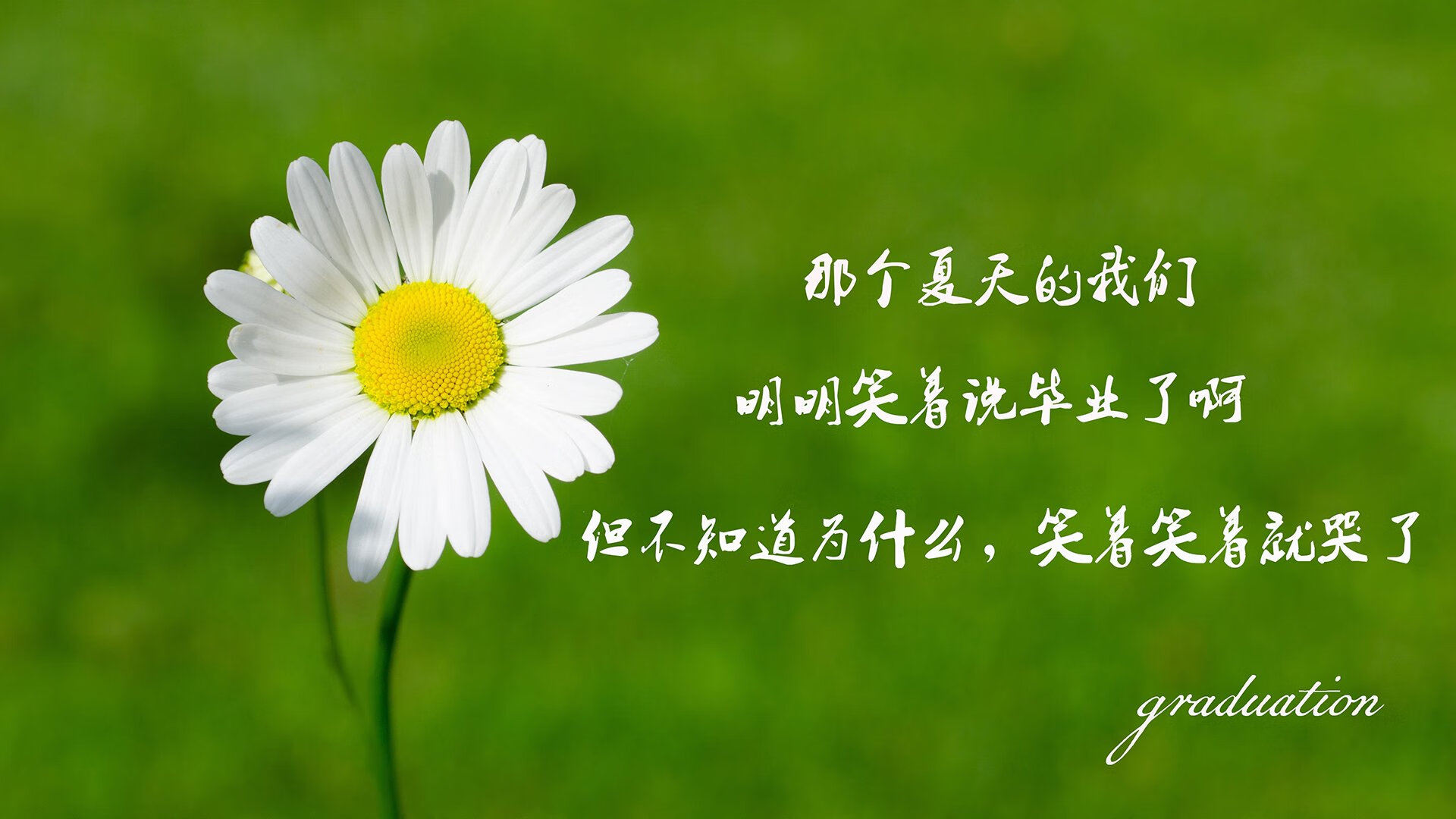 定义夜晚,当伦纳德将年度焦点之战熔铸成个人传奇的金属勋章