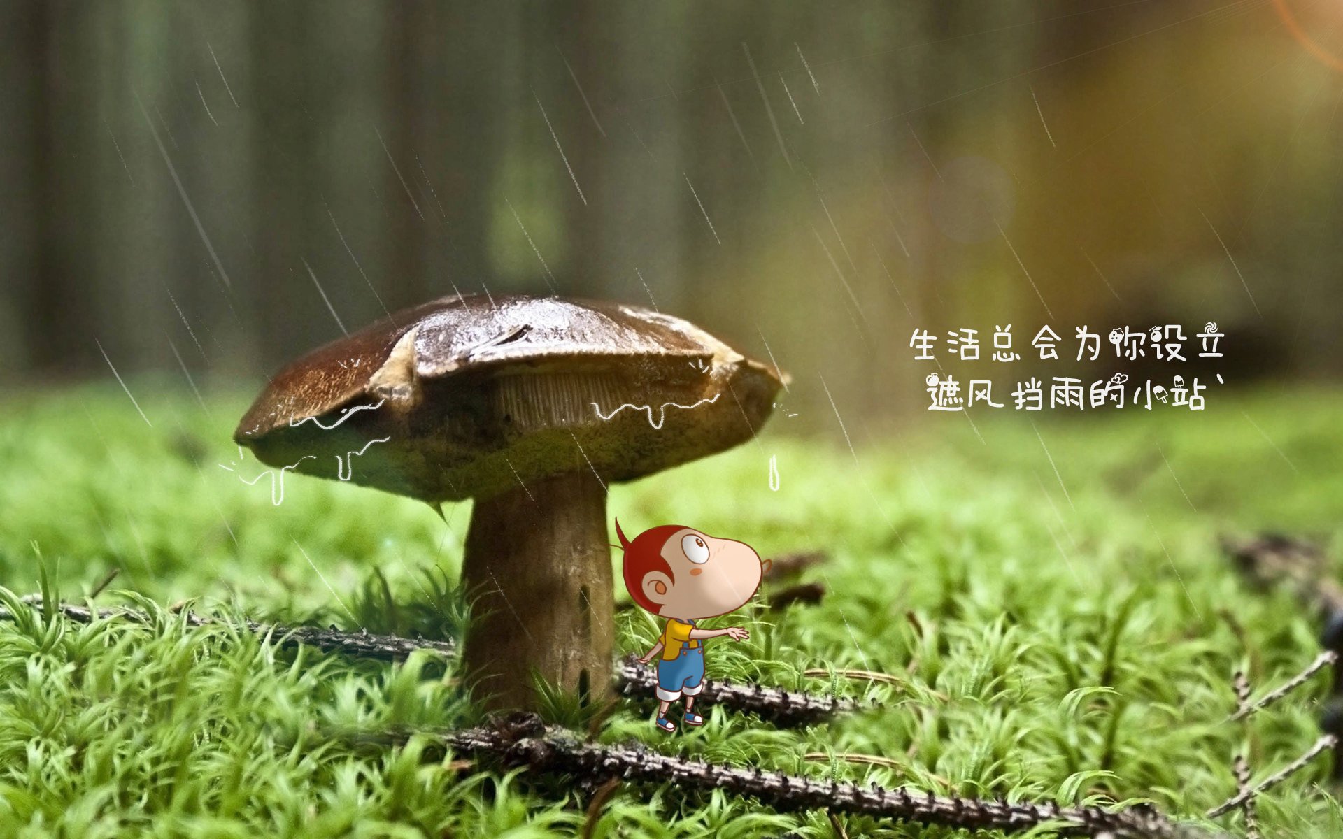 末节之王，福克斯在2026世界杯之夜的光速征服
