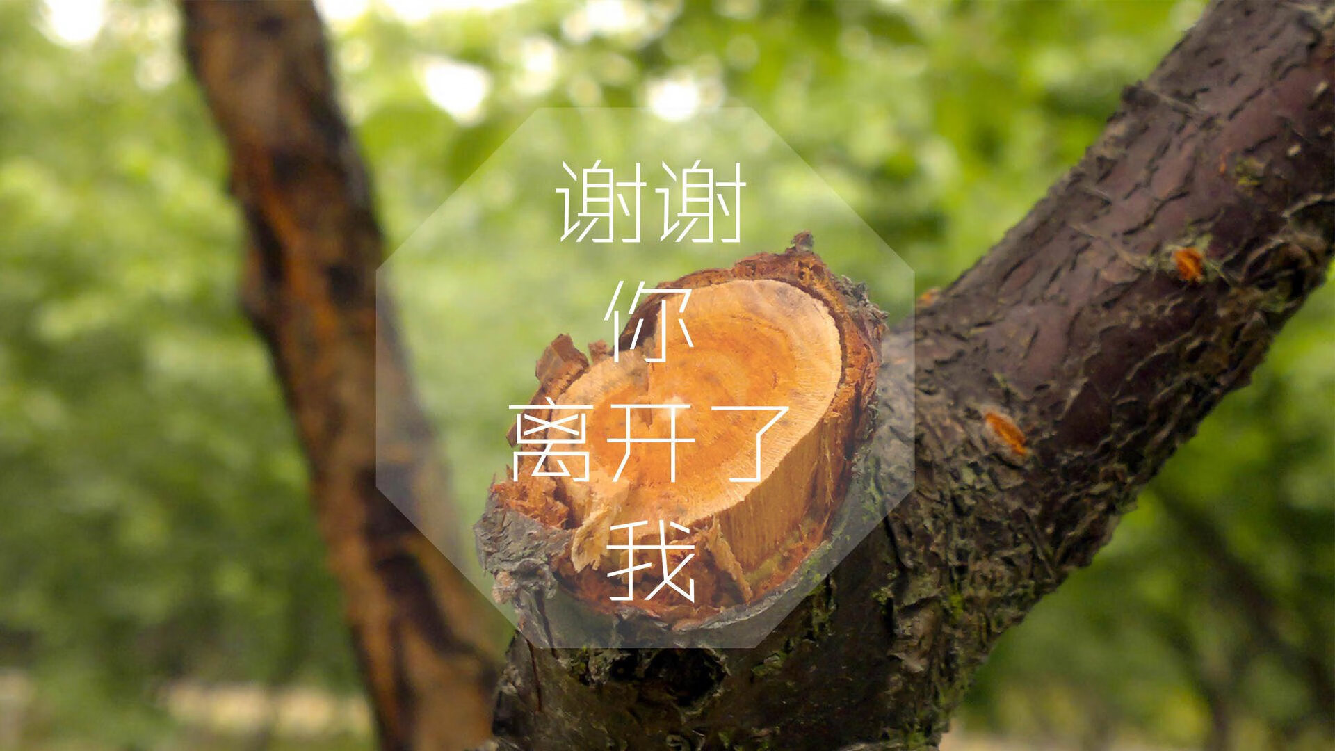 高卢雄鸡折翼，橘色长城矗立，范戴克与一场颠覆足球哲学的1/4决赛