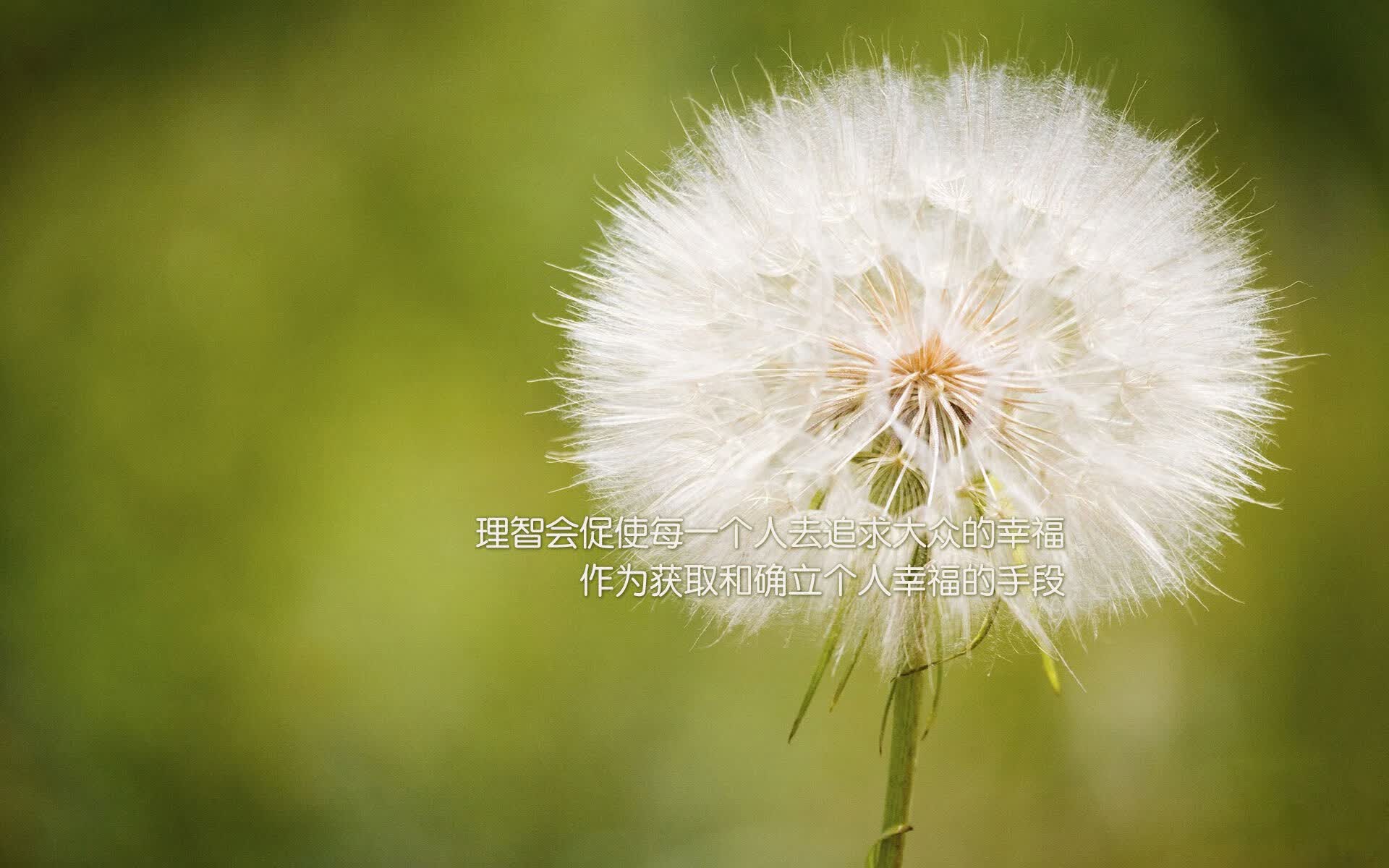 从绝杀到铁壁,德容的西班牙如何用一场经典征服2026世界杯F组